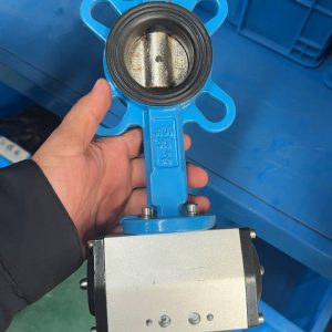 Бабочка для химия клапан